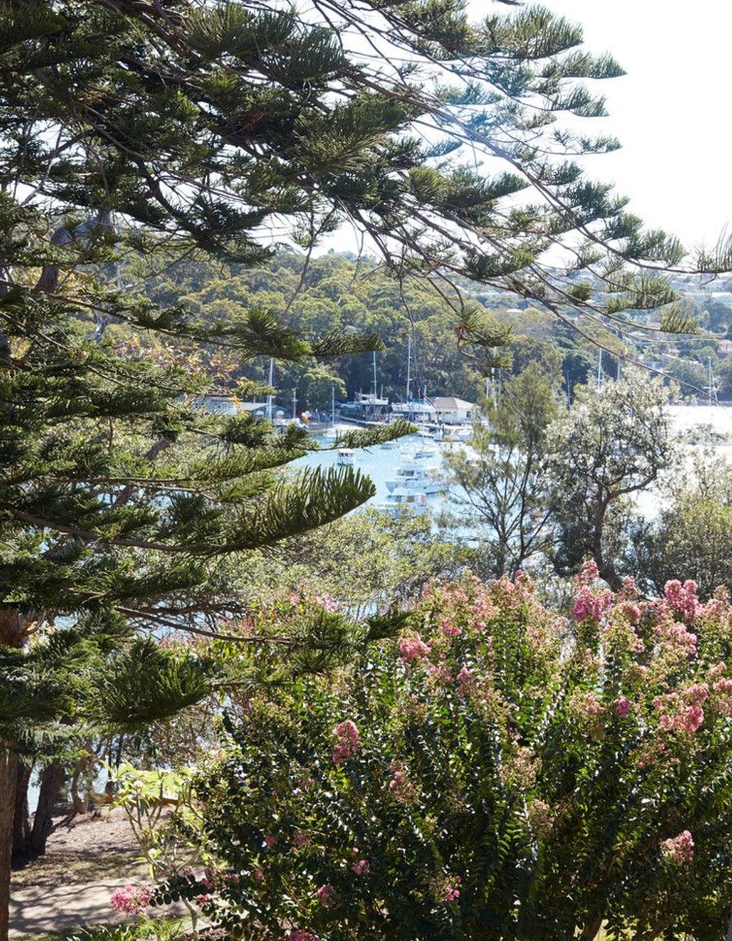 Fairlight