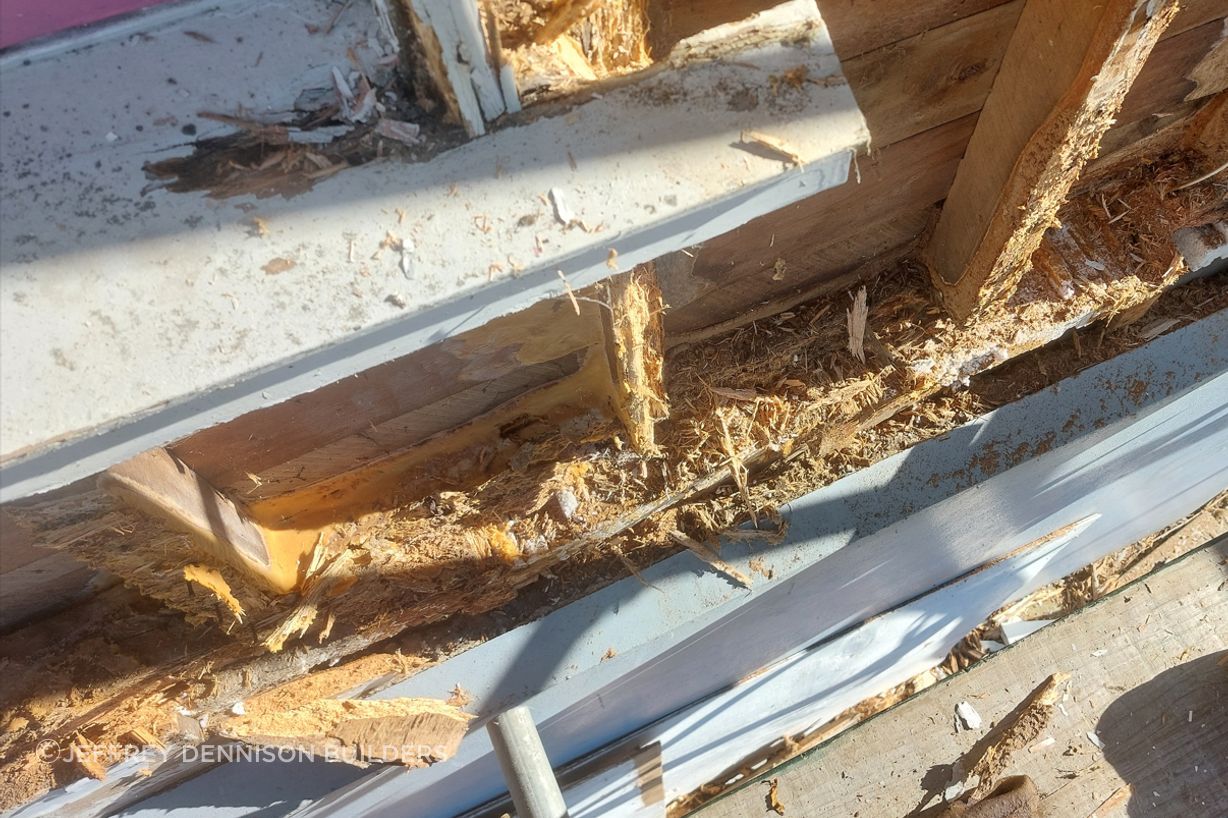 A37-9-Fifield-St-Rosyln-Dunedin-Removing-rotten-weatherboards-to-reveal-rotten-studs-to-repair-JDBuilders.jpg