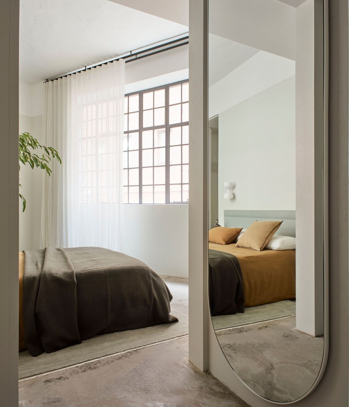 AlexanderCoFosterStSurryHills250822238390.jpg