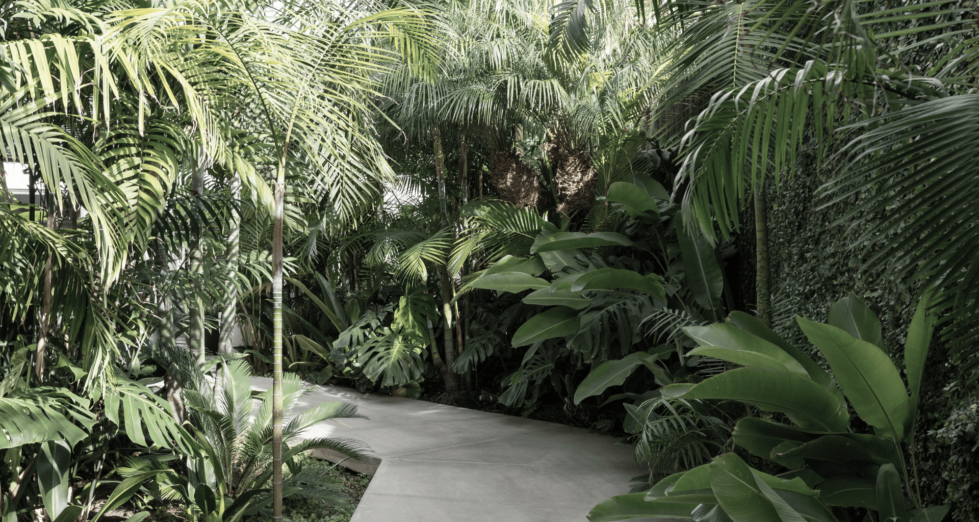 Jungle House banner