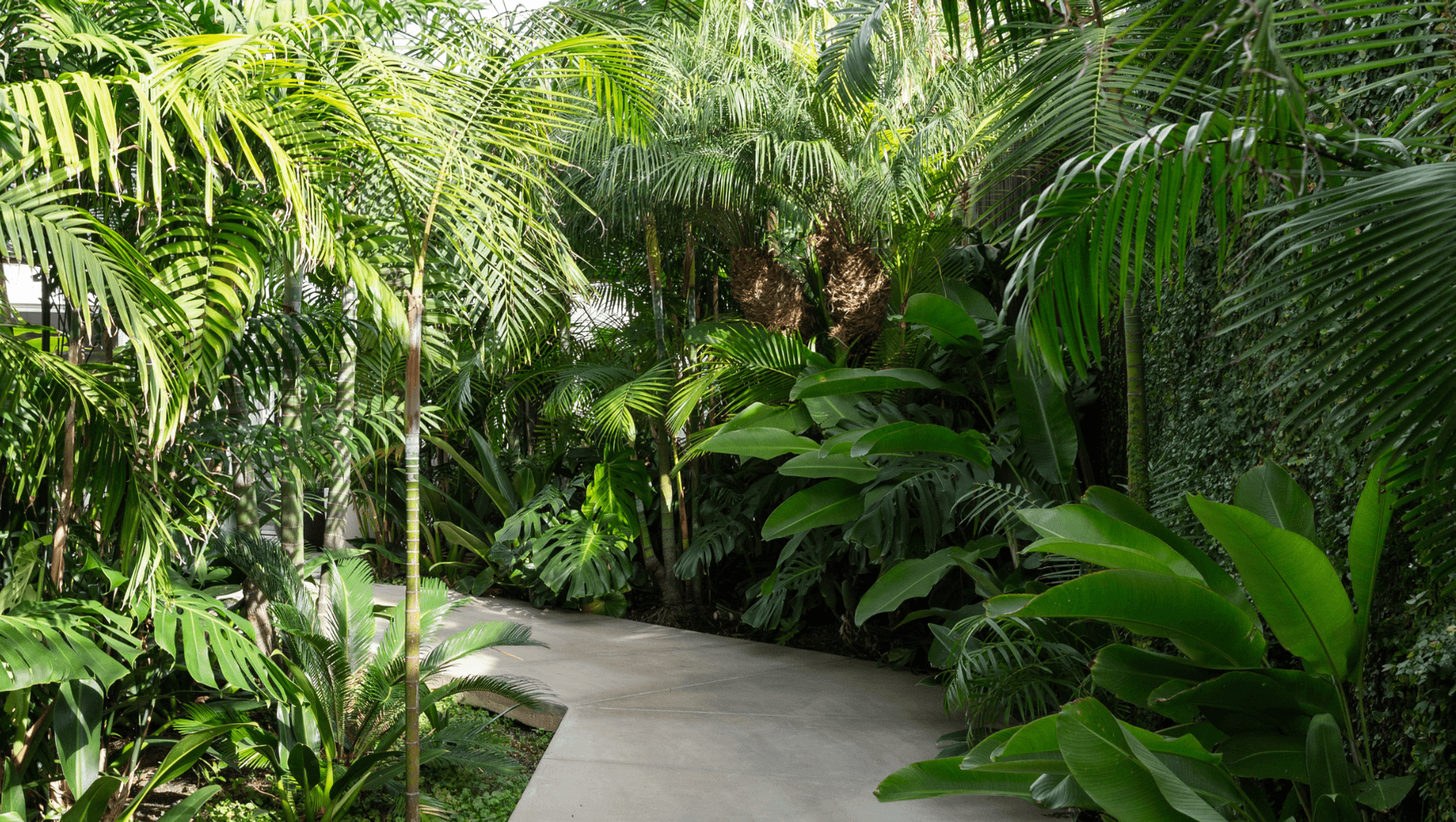 Jungle House banner