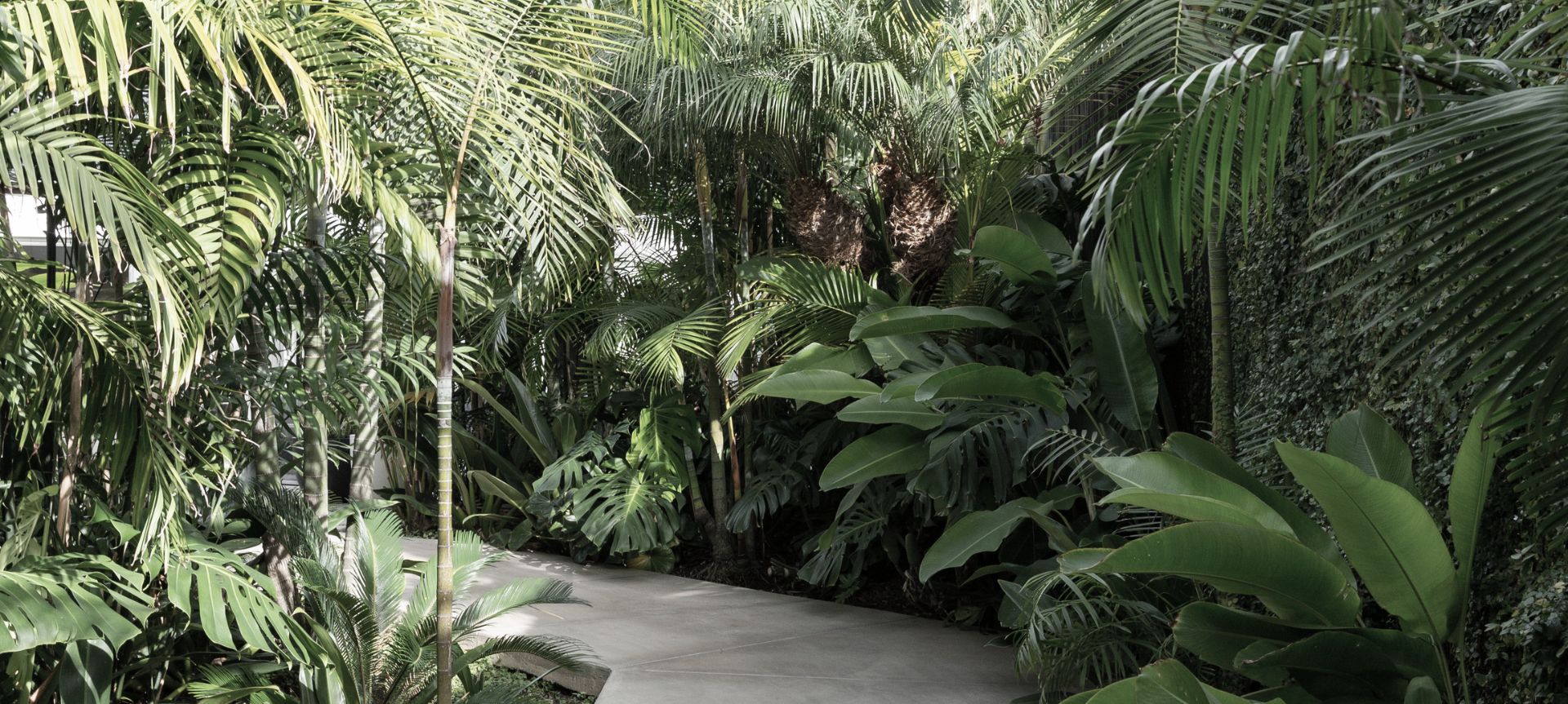 Jungle House banner