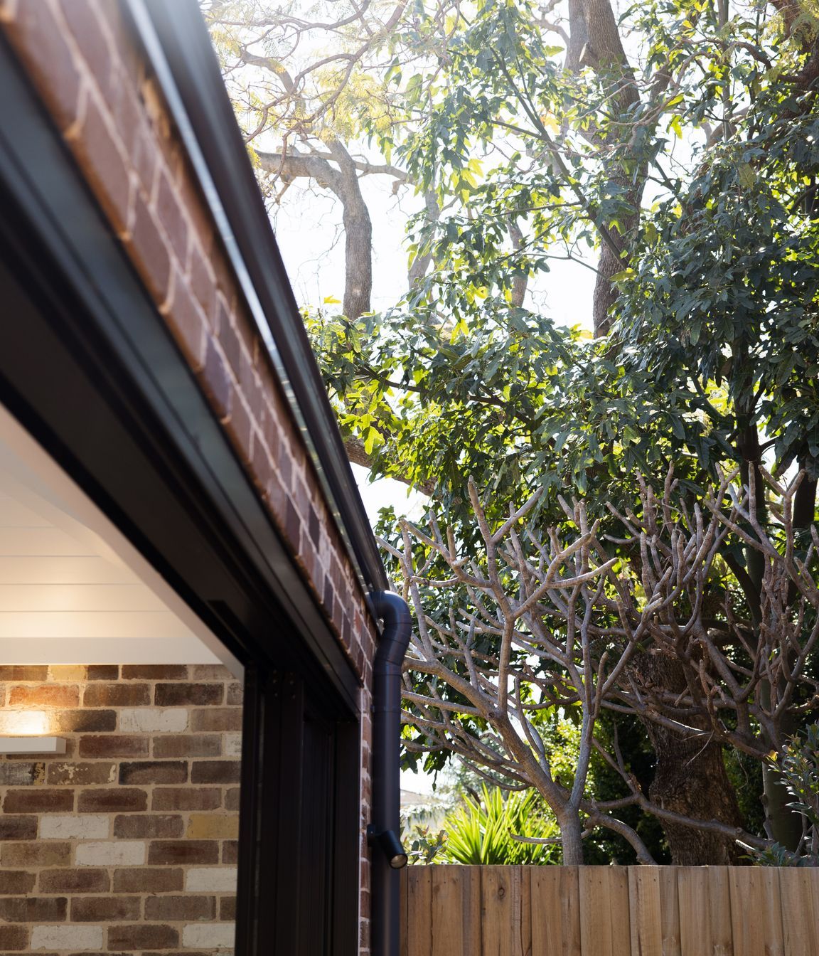 Lilyfield House