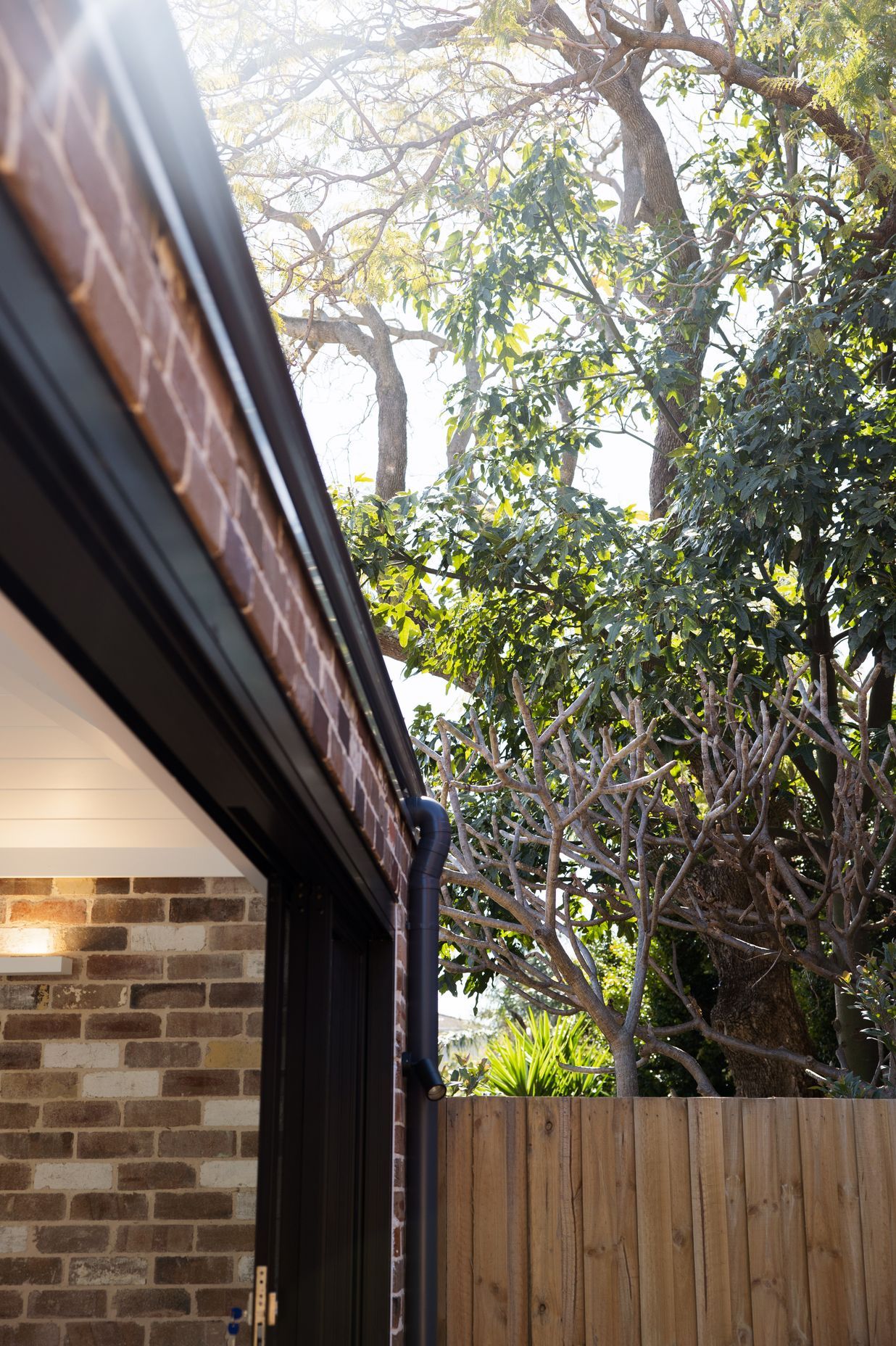 Lilyfield House