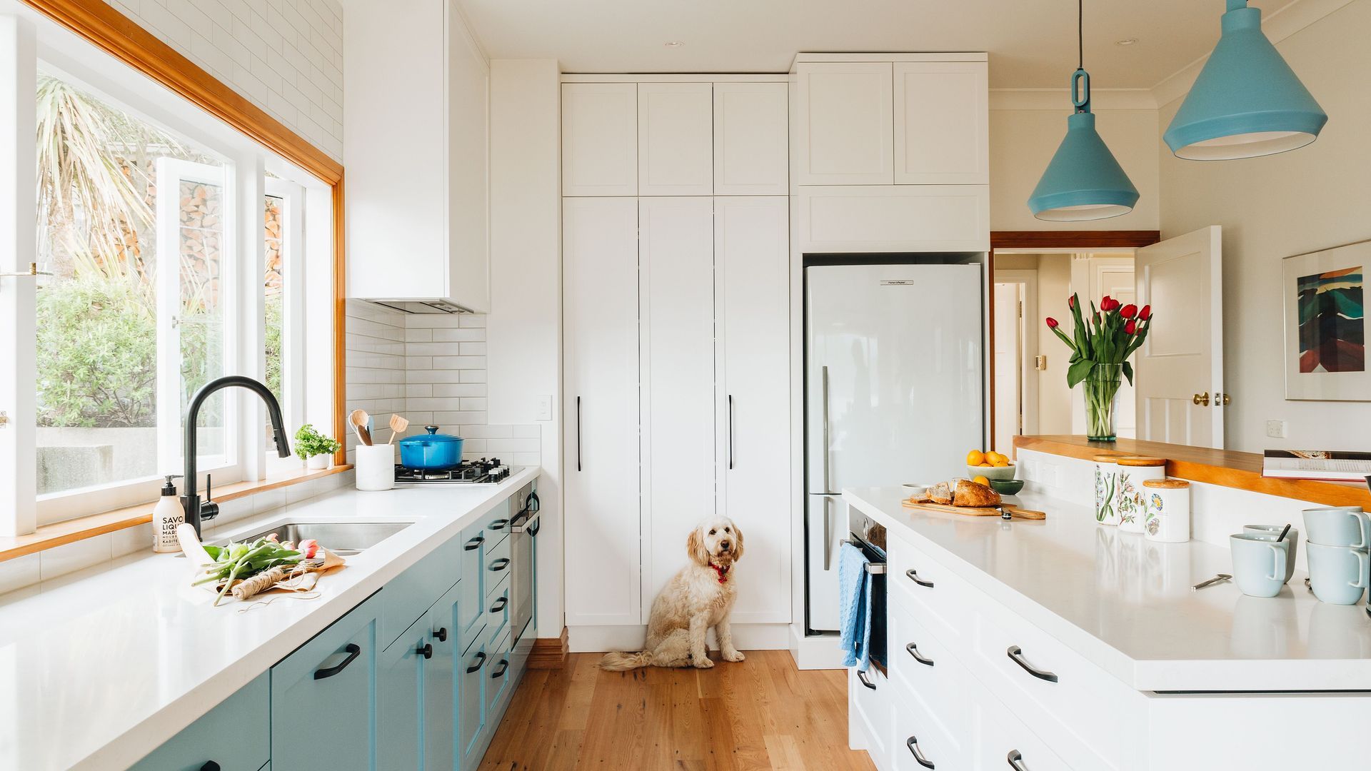 Seatoun Heights Kitchen banner