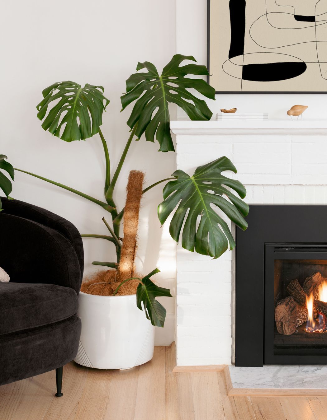 Brighton East Residence