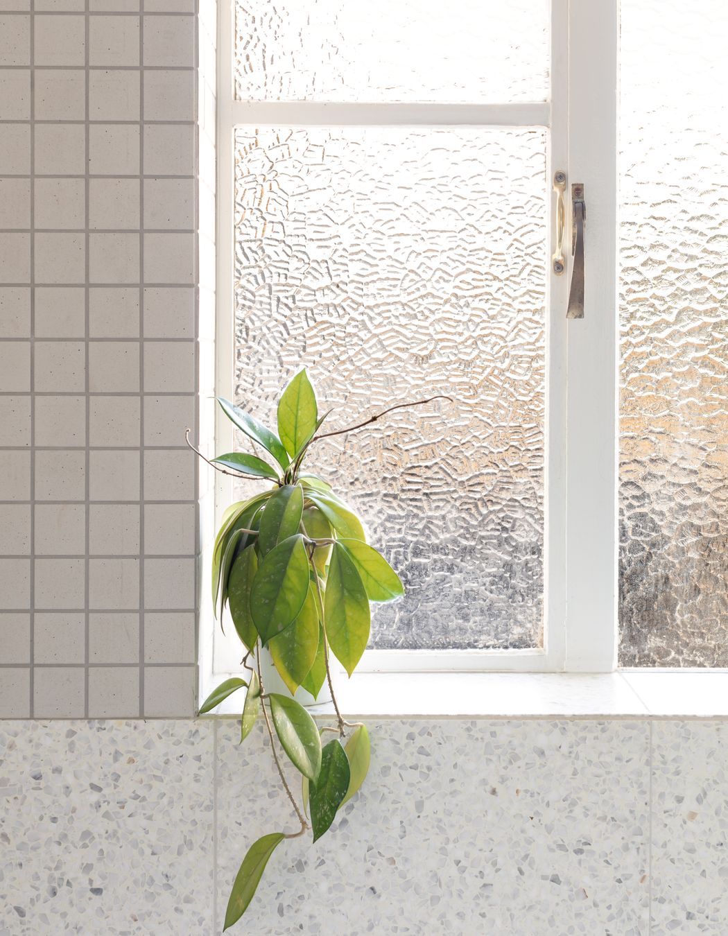 Brighton East Residence