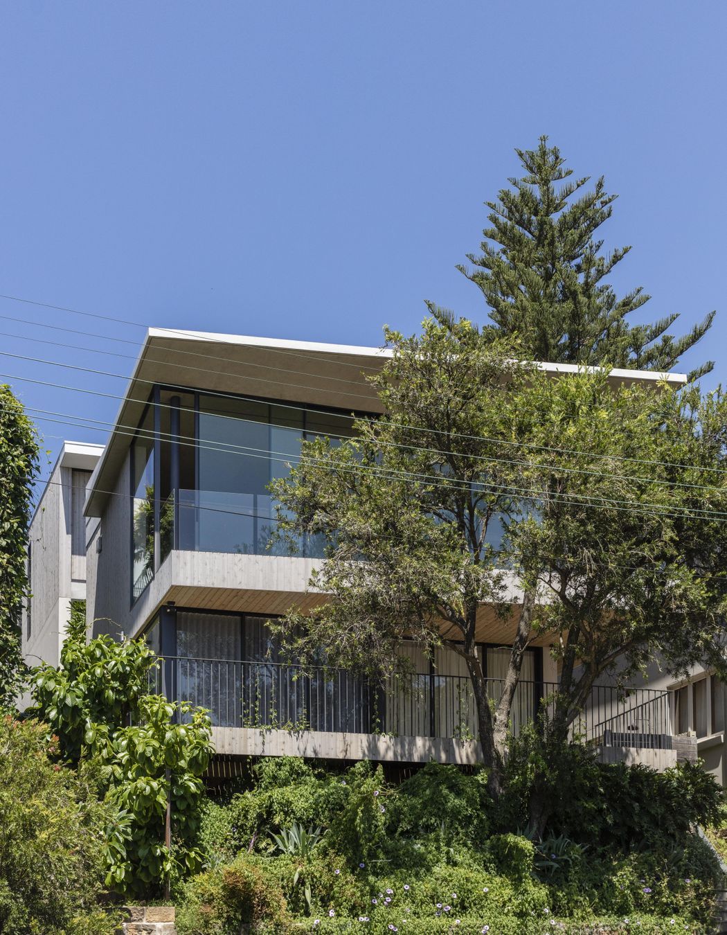 Bronte 8