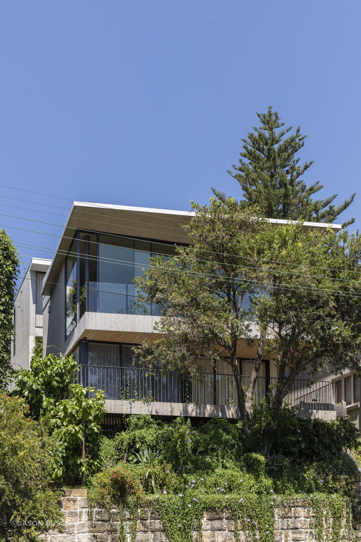 Bronte 8