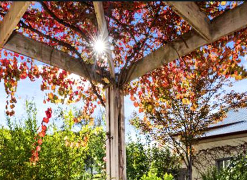 Drumcondra Residence