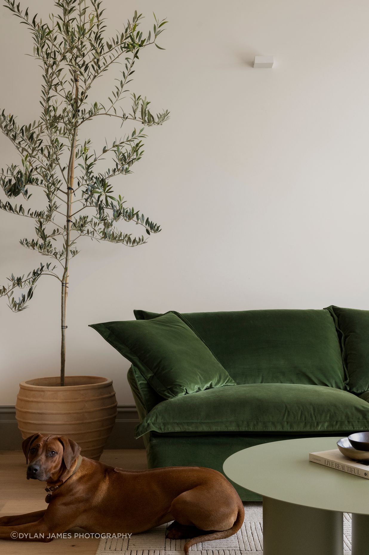 Bonny-House-009-v2.jpg