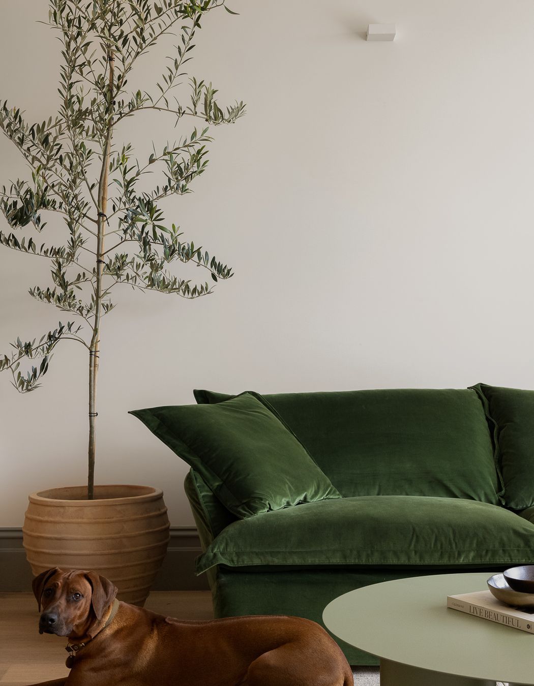 The Bonny House - Homes by Ivy