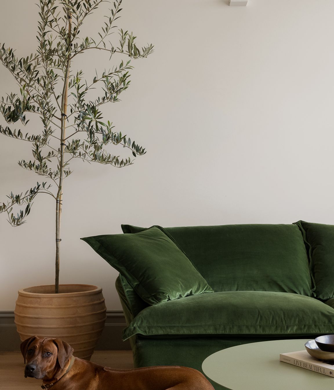The Bonny House - Homes by Ivy