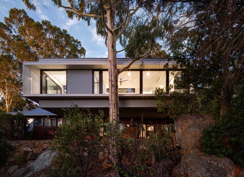 The Treehouse