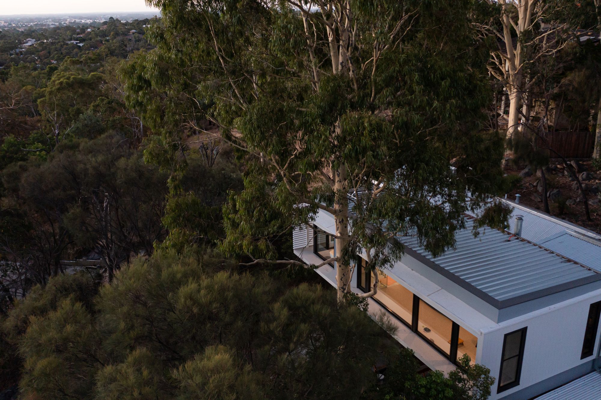 The Treehouse