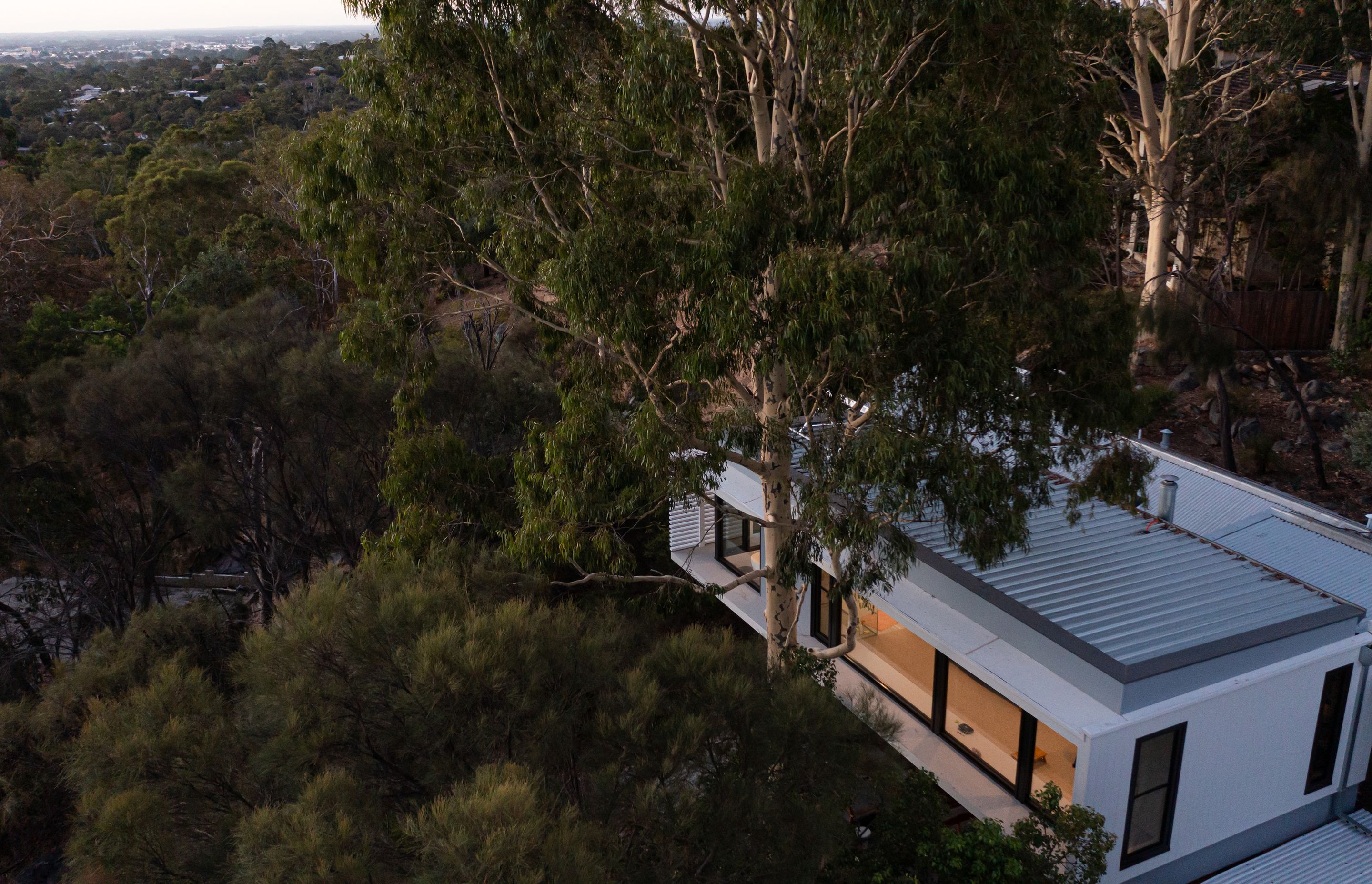 The Treehouse