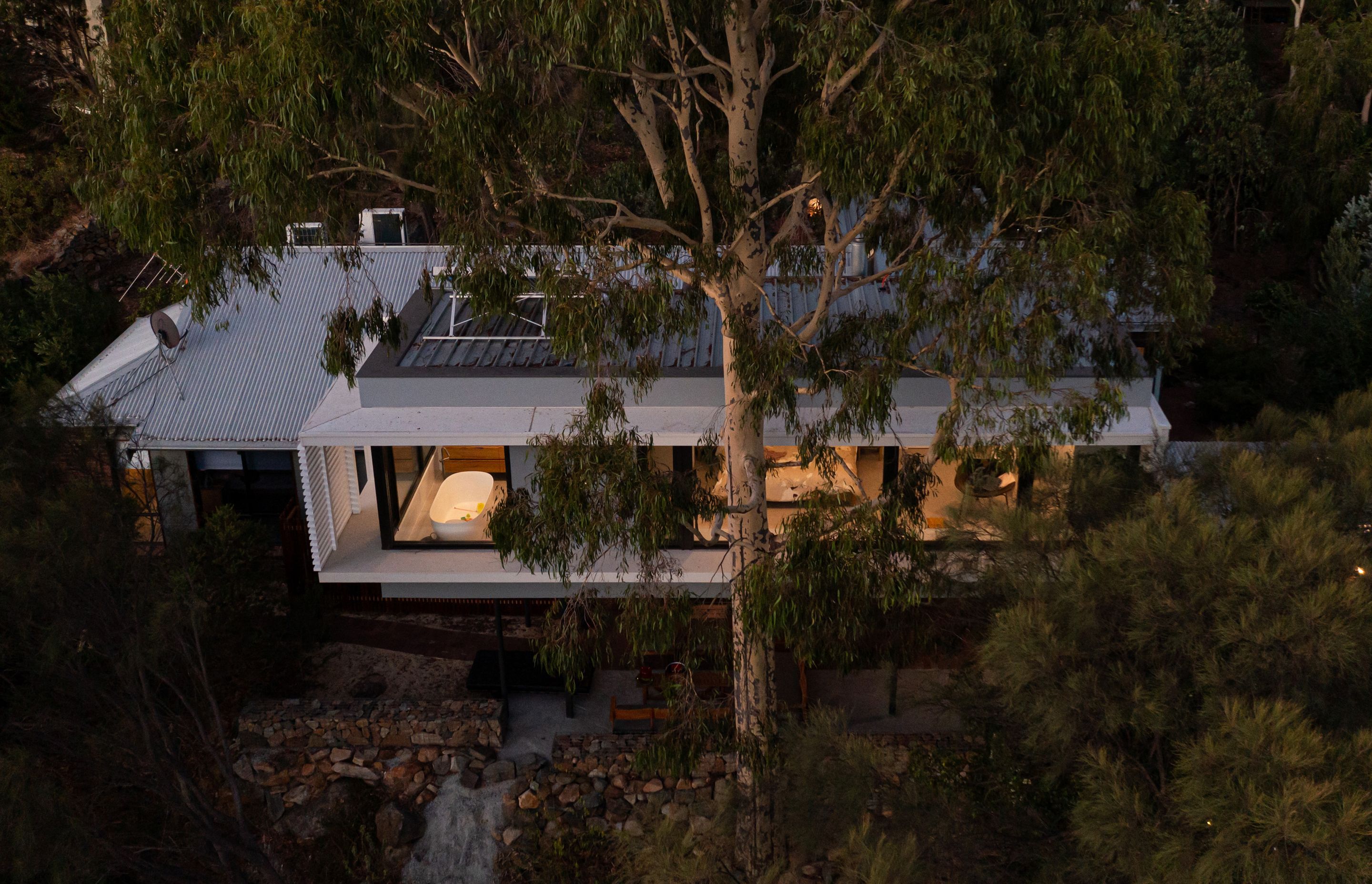 The Treehouse