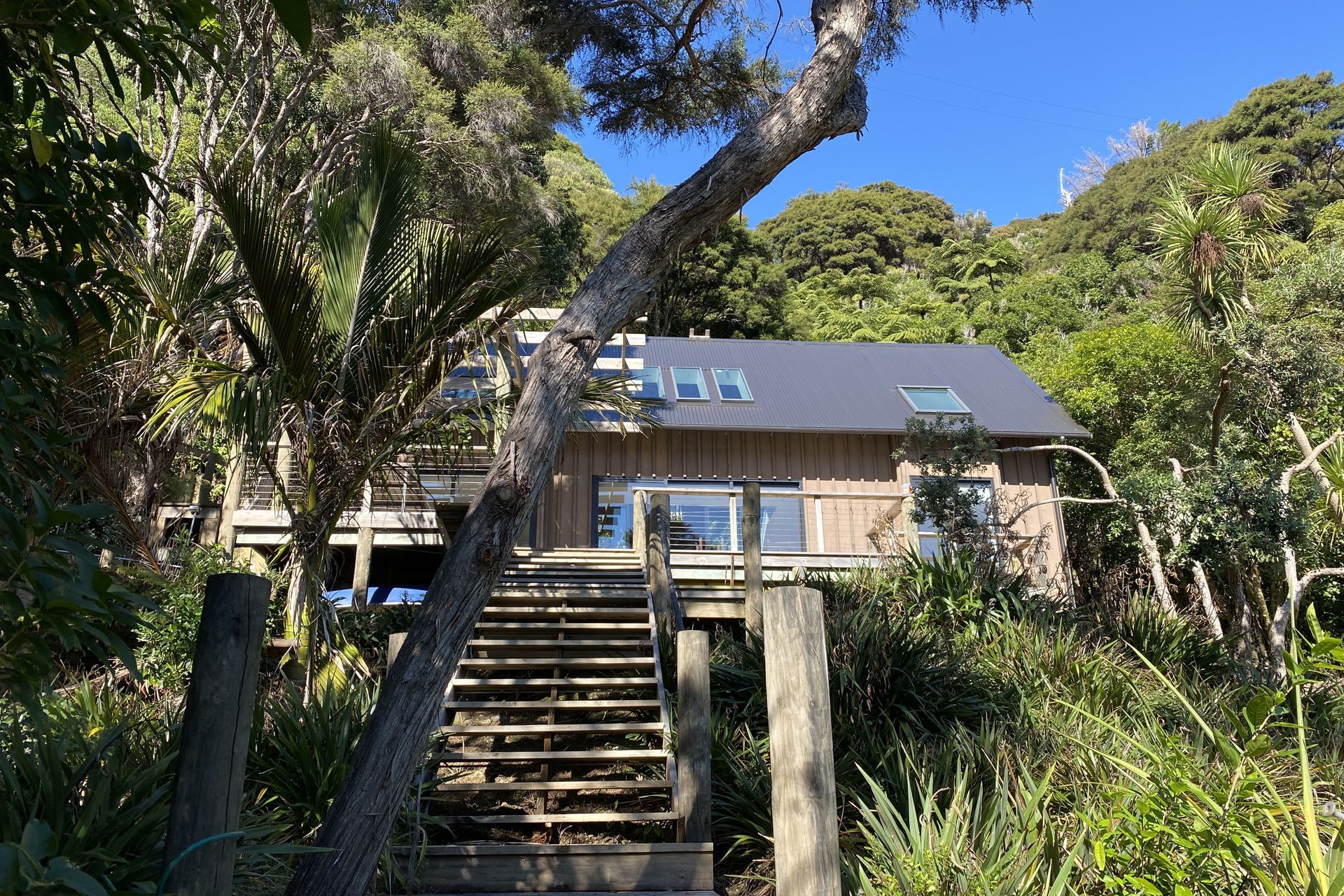 Kenepuru Road Bach