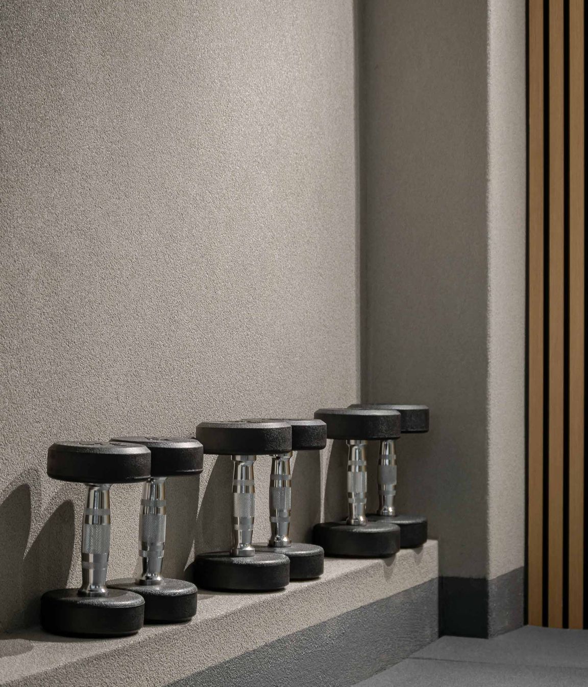 CammerayHomeGymSecondRoom3.jpg
