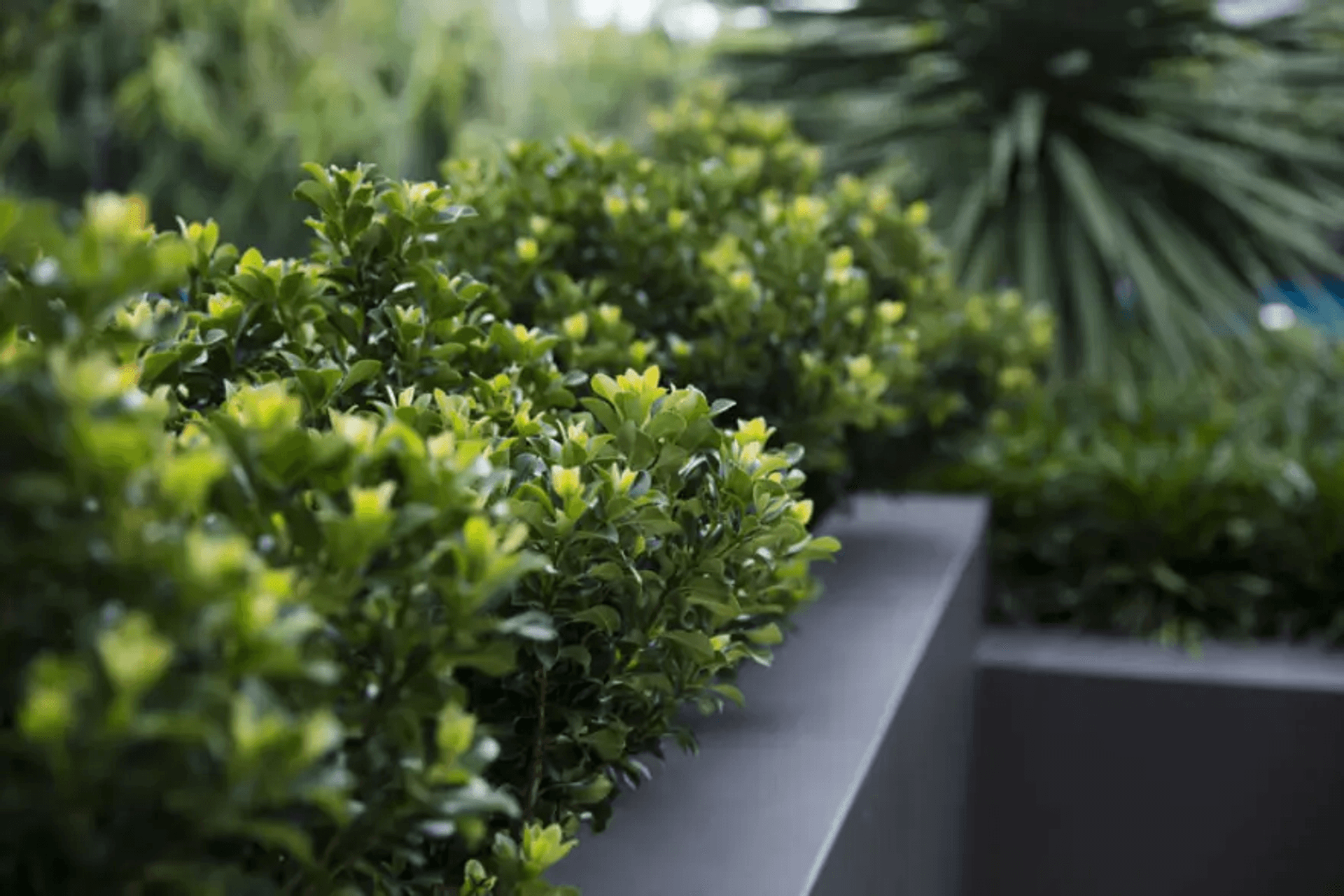 First Choice Classic Travertine Tumbled | Project by Landart