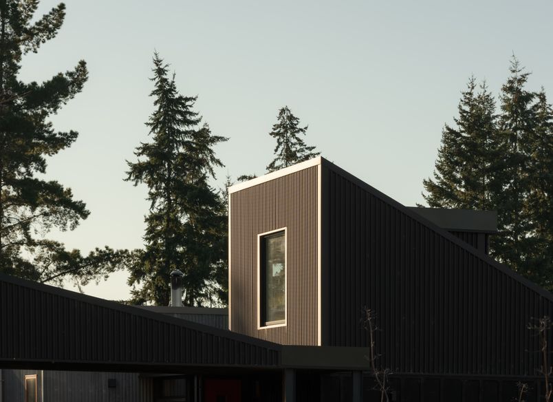 Pointy Flat House