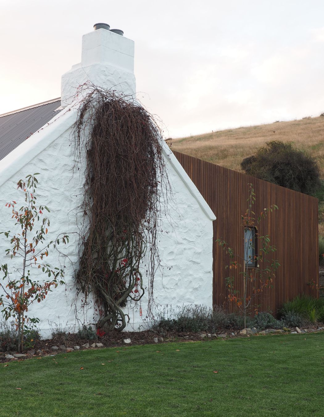 Chaplin-Crooks-ArchitectsWalnut-CottageCottage-gable-chimney-and-bedroom-addition-v2.jpg