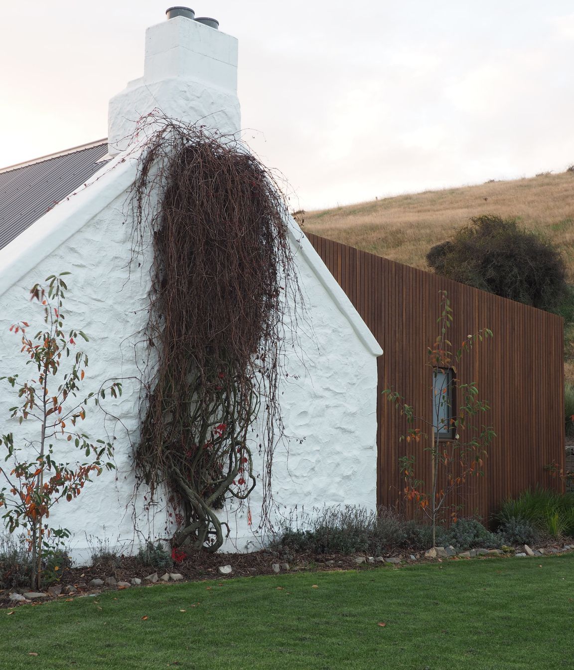 Chaplin-Crooks-ArchitectsWalnut-CottageCottage-gable-chimney-and-bedroom-addition-v2.jpg