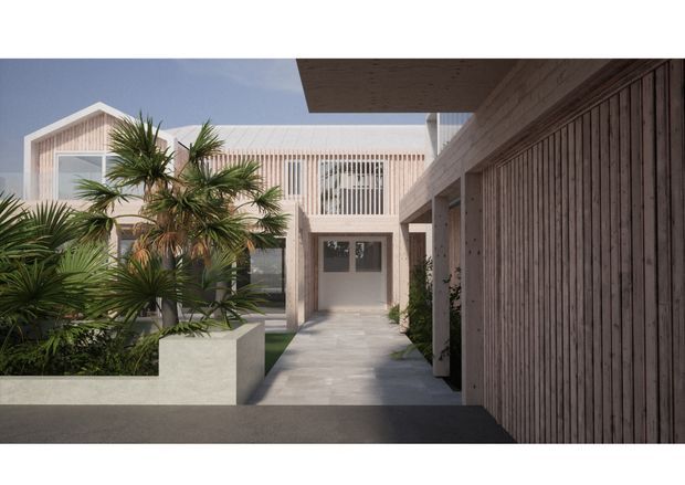 A contemporary residential entrance courtyard viewed from outside, with a straight concrete path leading to a recessed doorway. The building features pale vertical timber screening and slatted cladding, flat roof planes, large glazed openings, and a minimalist planted courtyard with palm-like greenery and raised rendered planters.