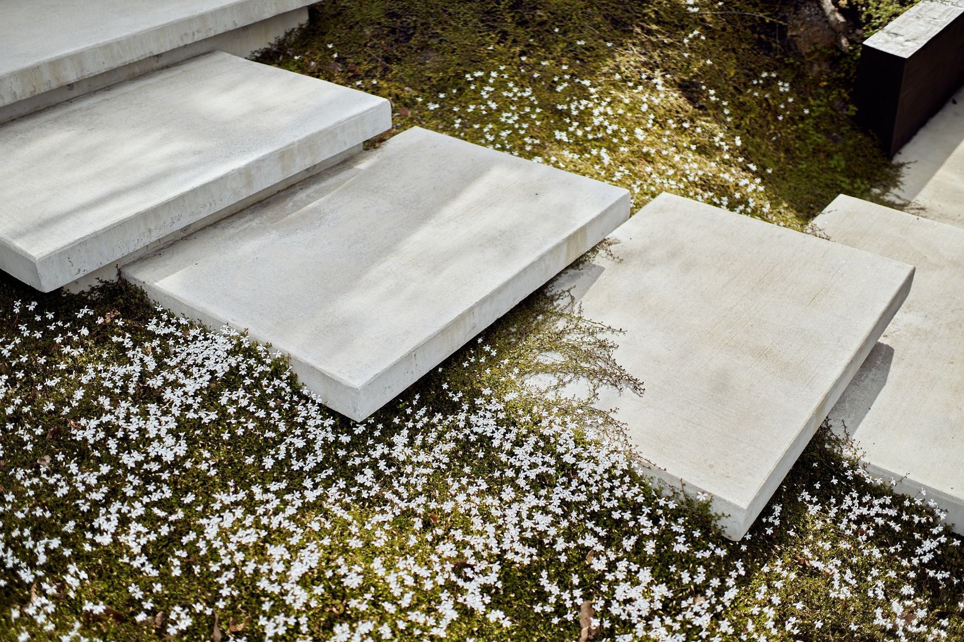 Shore Road Alterations