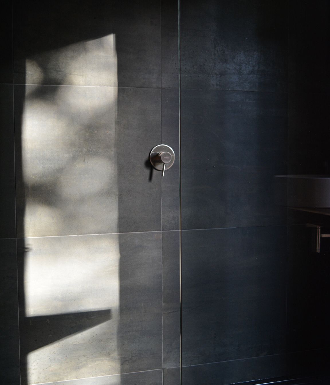 In Praise of Shadows
