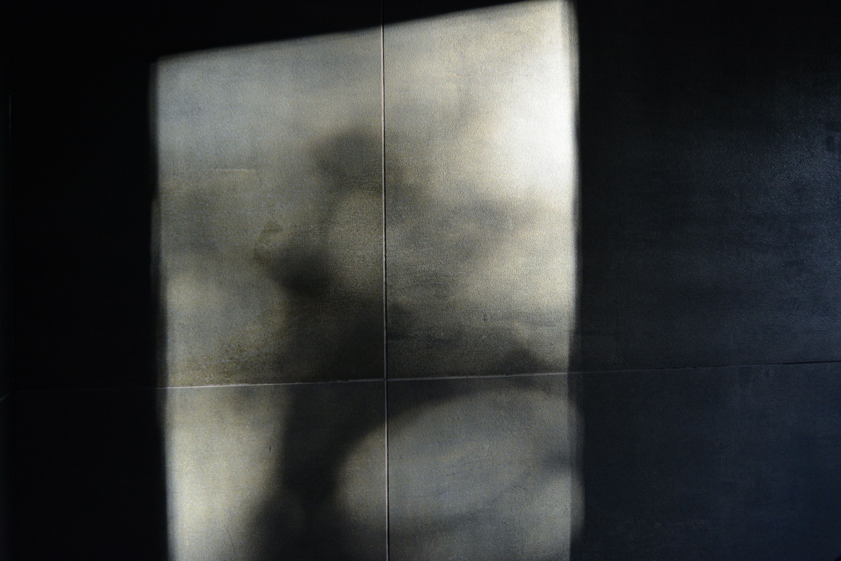 In Praise of Shadows