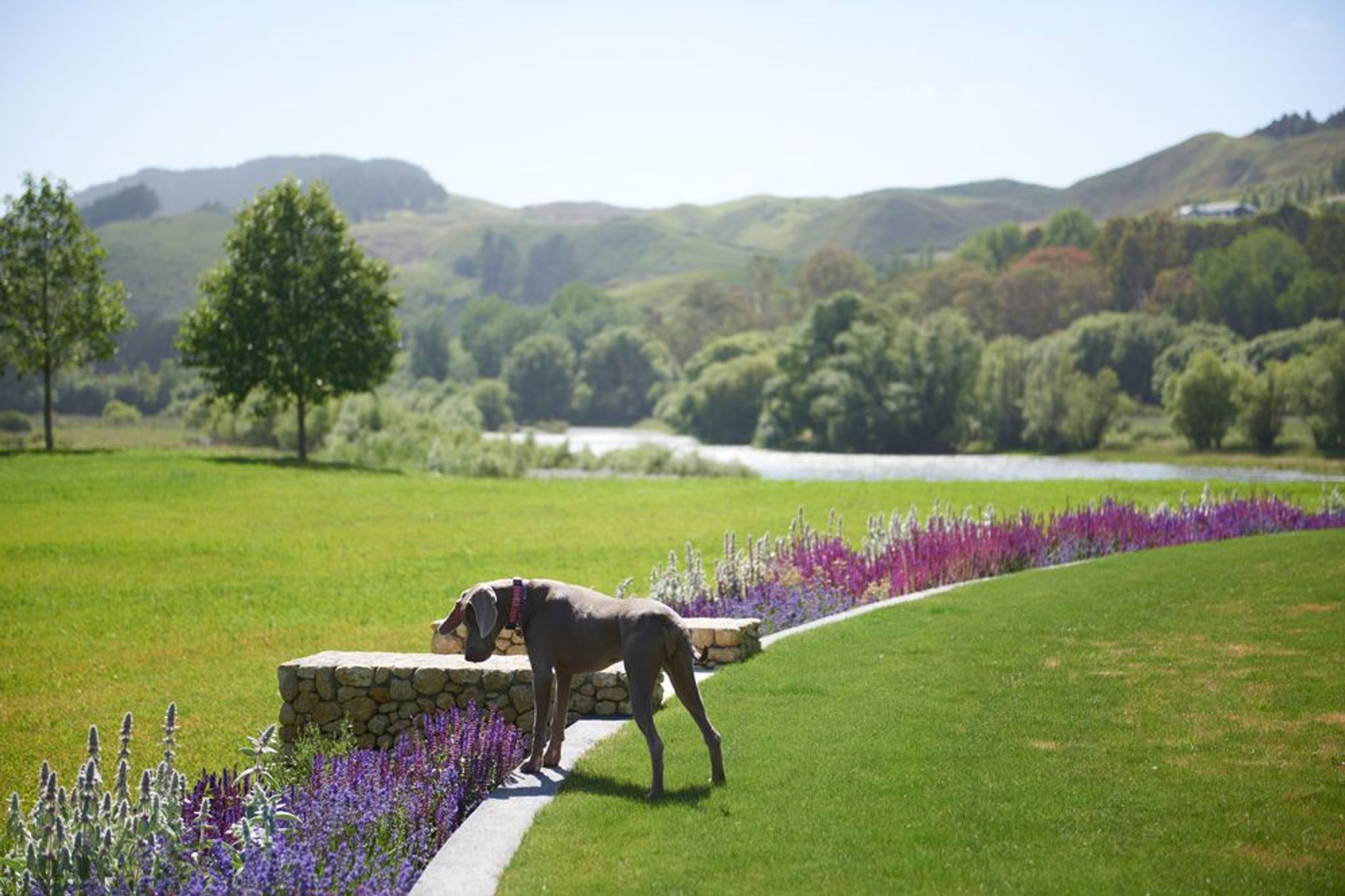 border gardens