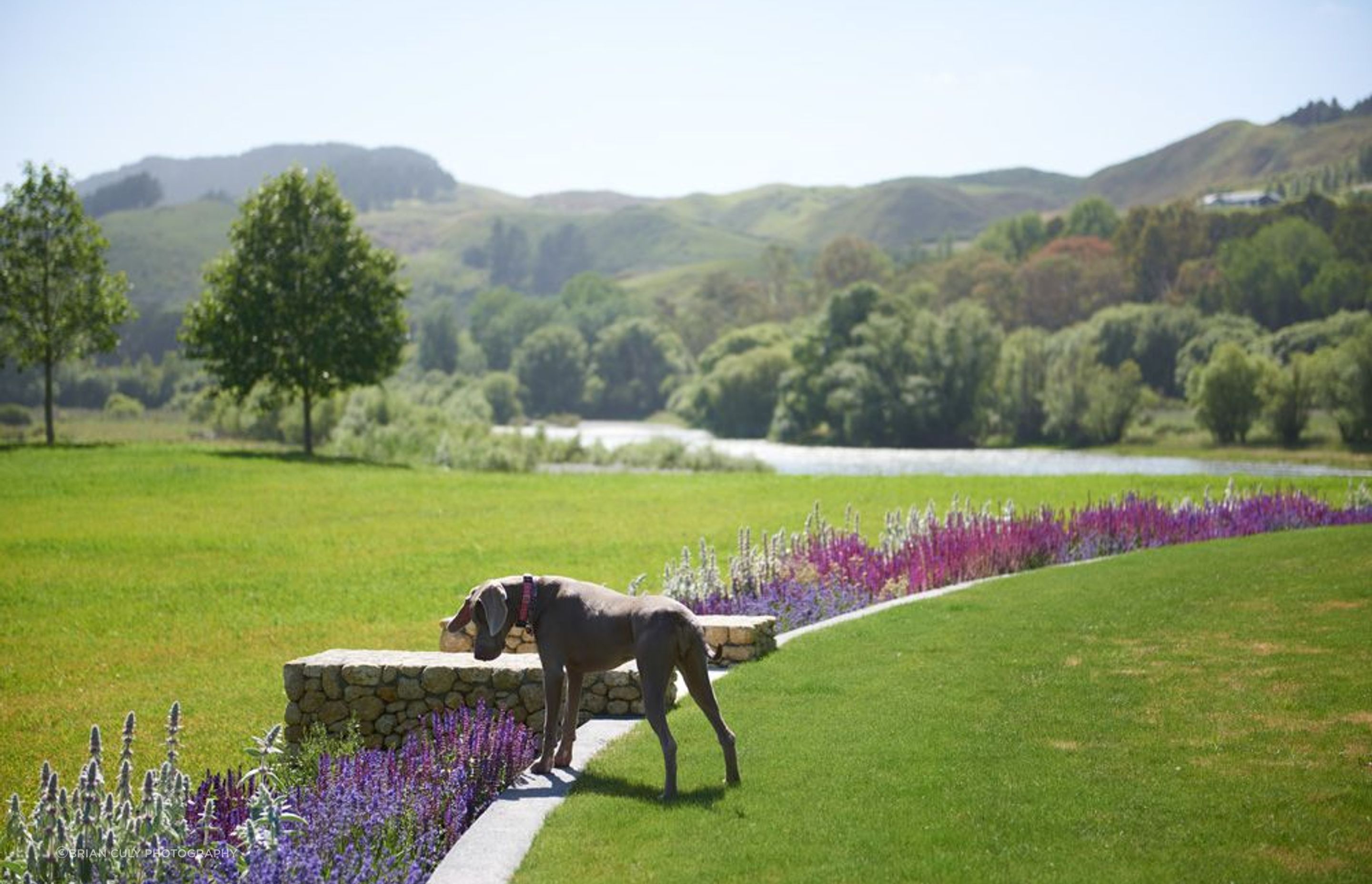 border gardens