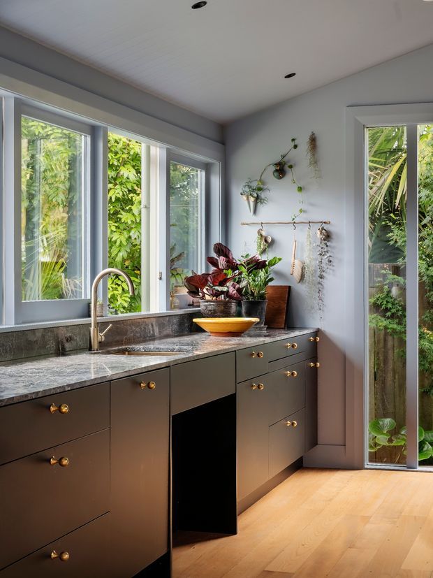 A compact, light-filled kitchen with dark matte cabinetry, brass knobs and pulls, a grey stone benchtop, and a deep undermount sink beneath large windows. Full-height glazing and a narrow glazed door open views to dense greenery outside. Indoor plants, hanging botanical displays, and warm timber flooring add a natural, refined character.