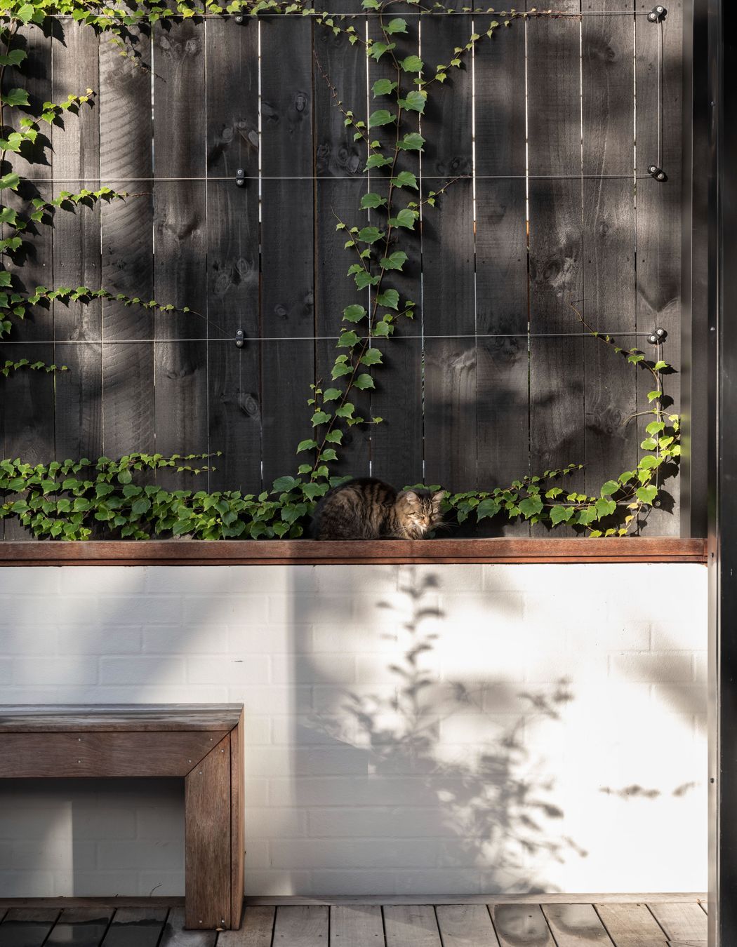 Ponsonby Heritage