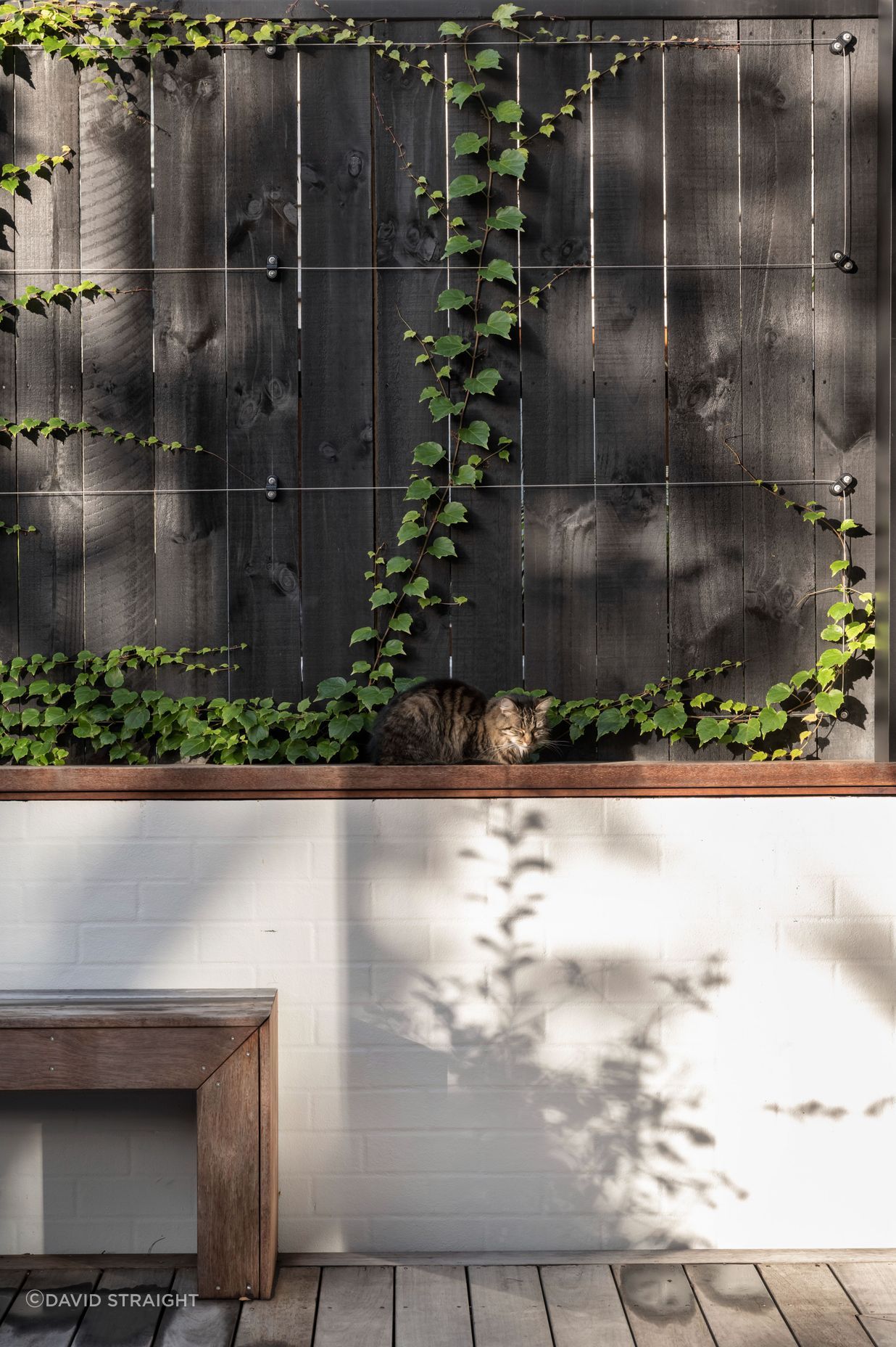 Ponsonby Heritage 