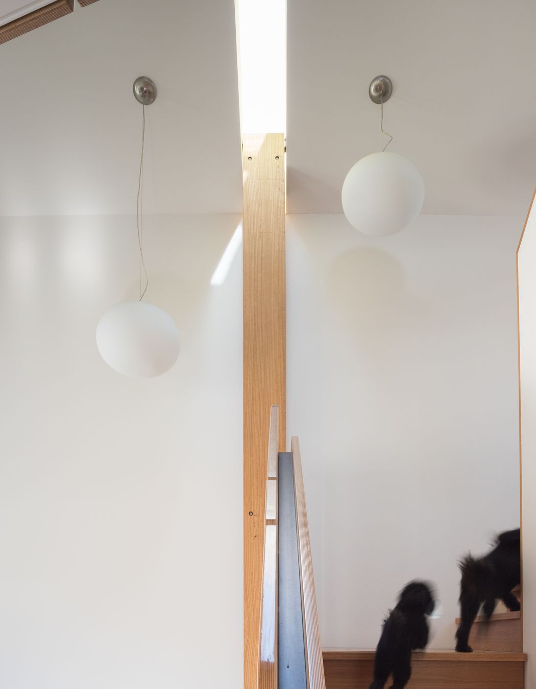 Slender skylights above the stairwell bring light into the space