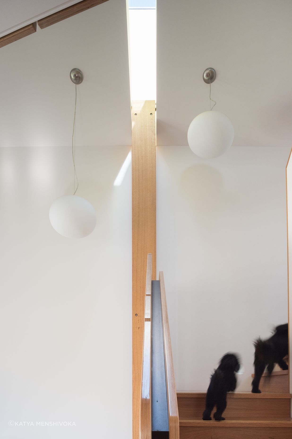 Slender skylights above the stairwell bring light into the space