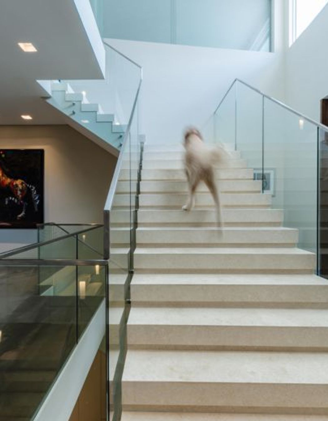 Crema Vialle Limestone Honed