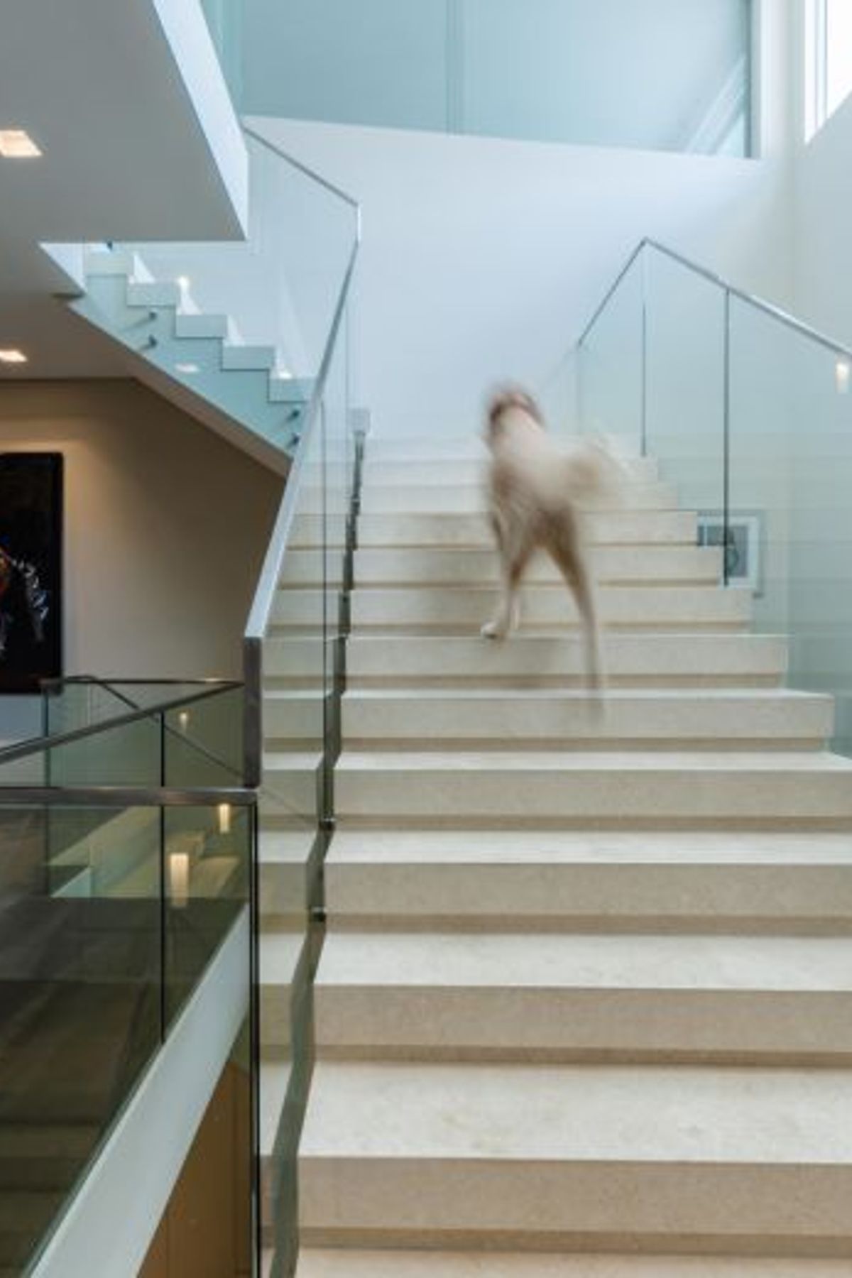 Crema Vialle Limestone Honed