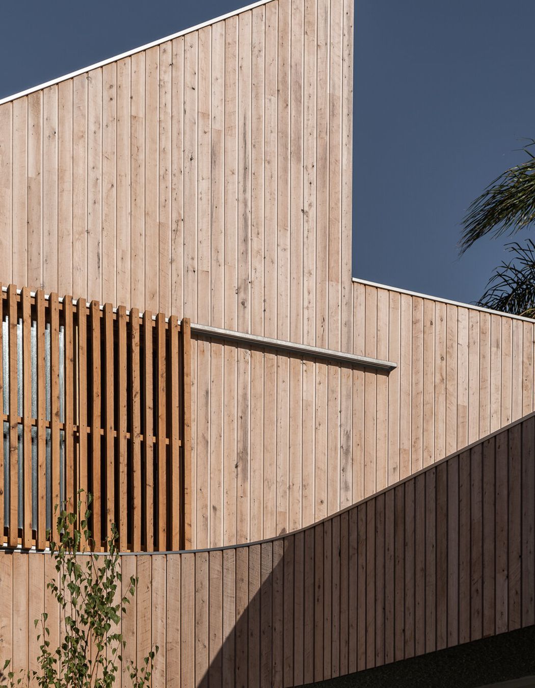 Photography: Dion Robeson