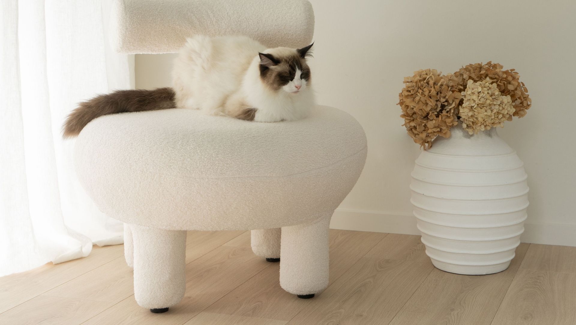 A Calm Sanctuary on Auckland’s North Shore banner