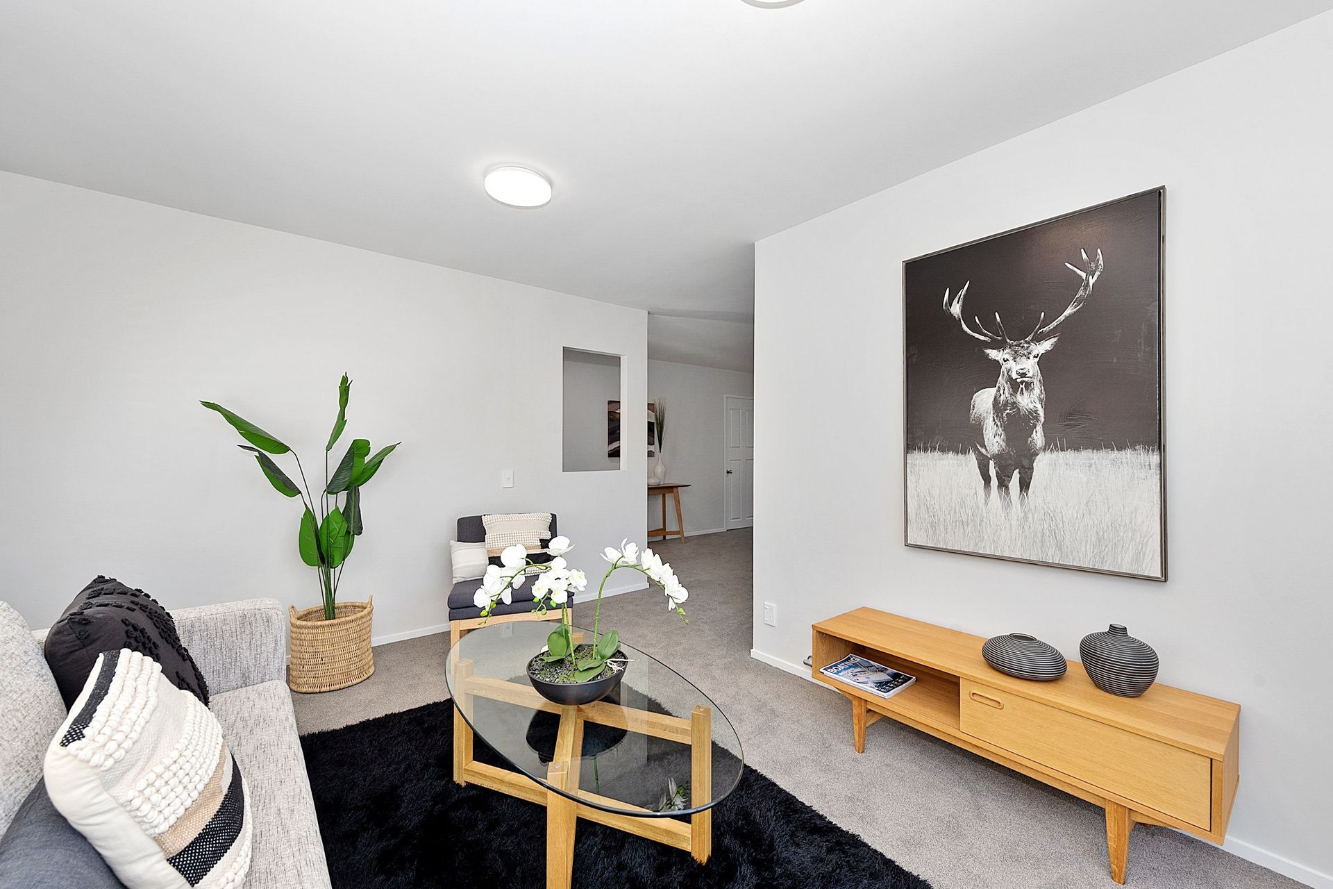 Villa Vanto Reclad, Hamilton