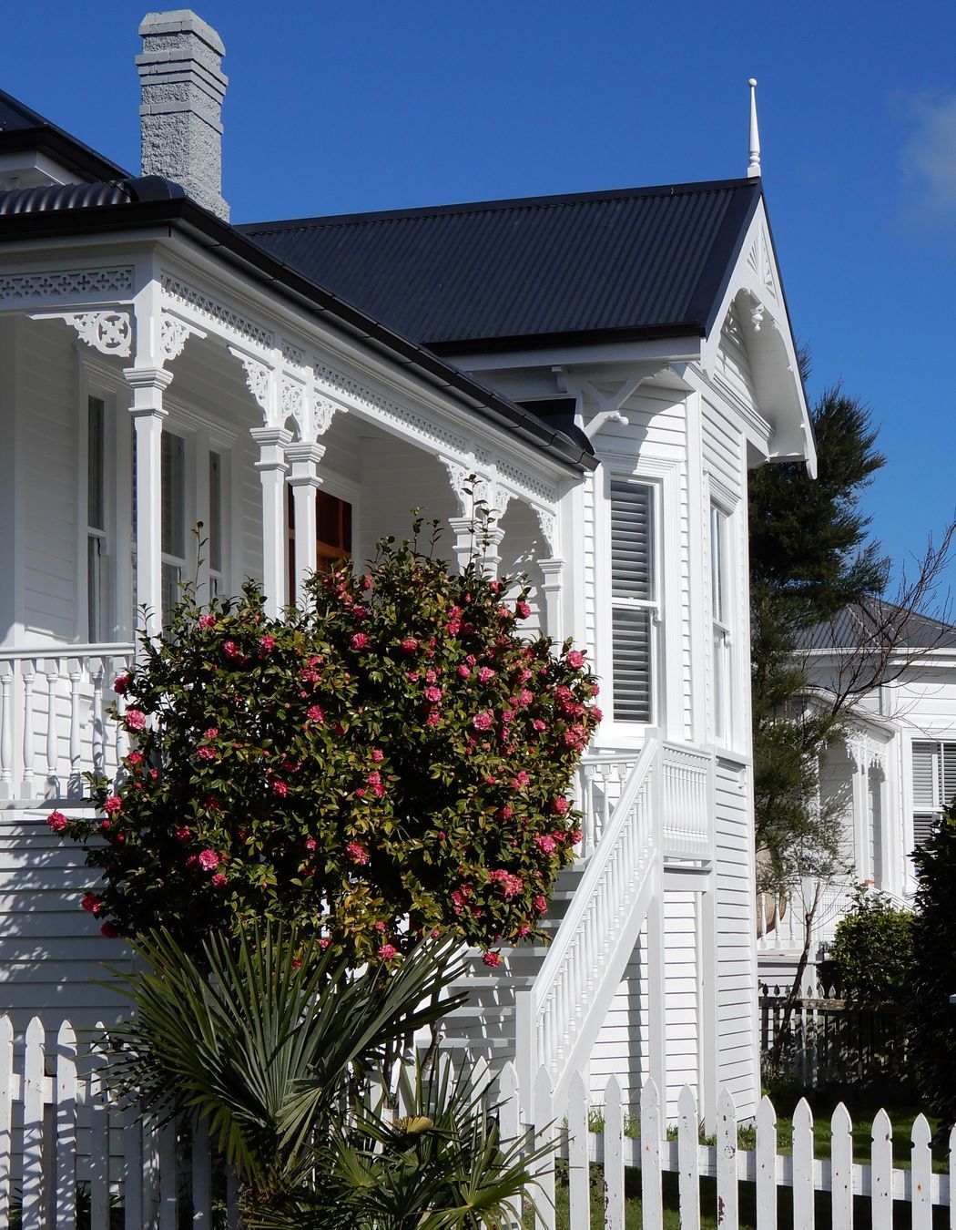 GREY-LYNN-IMAGE-2.JPG