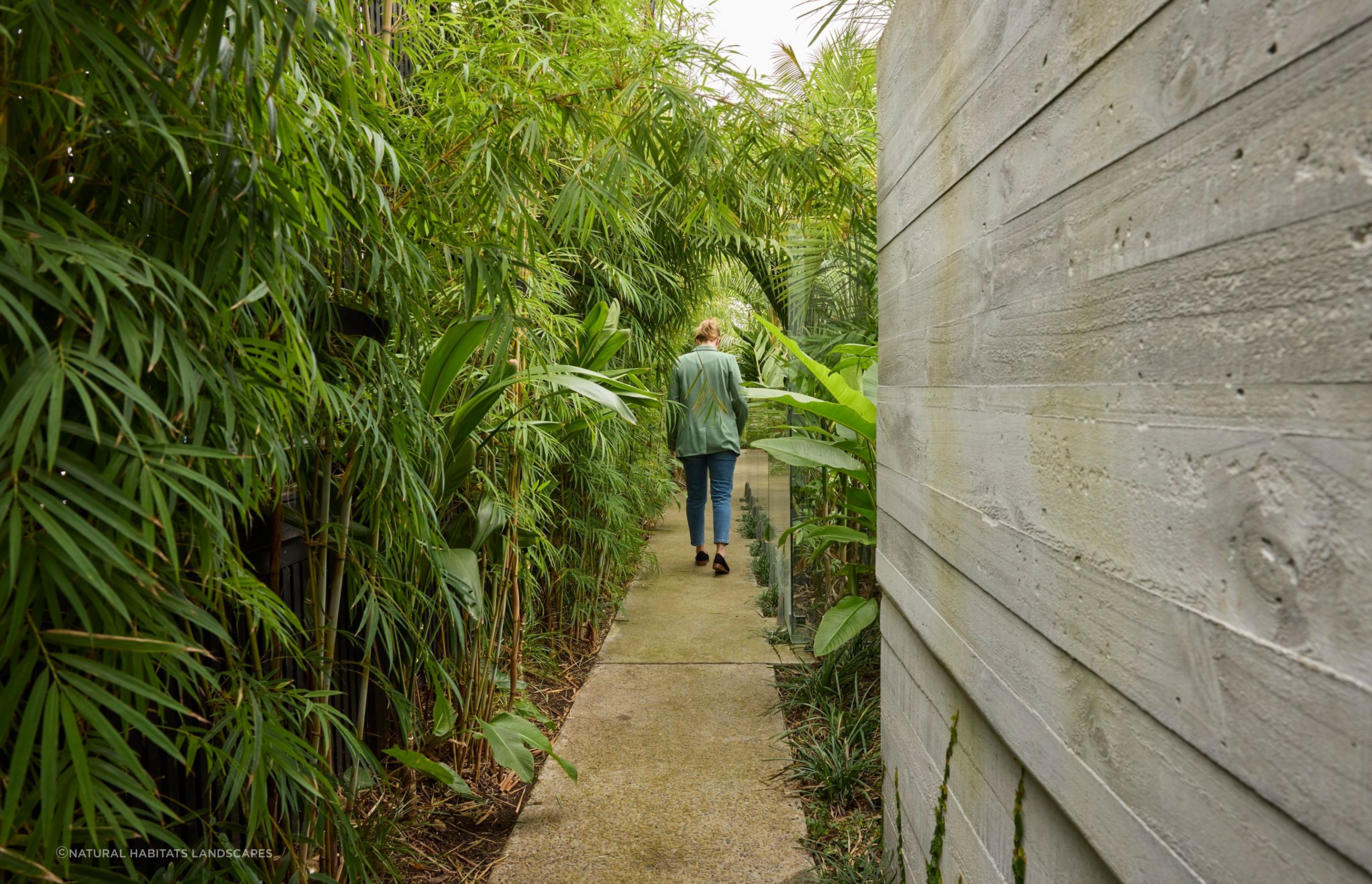 Garden of Mt Eden