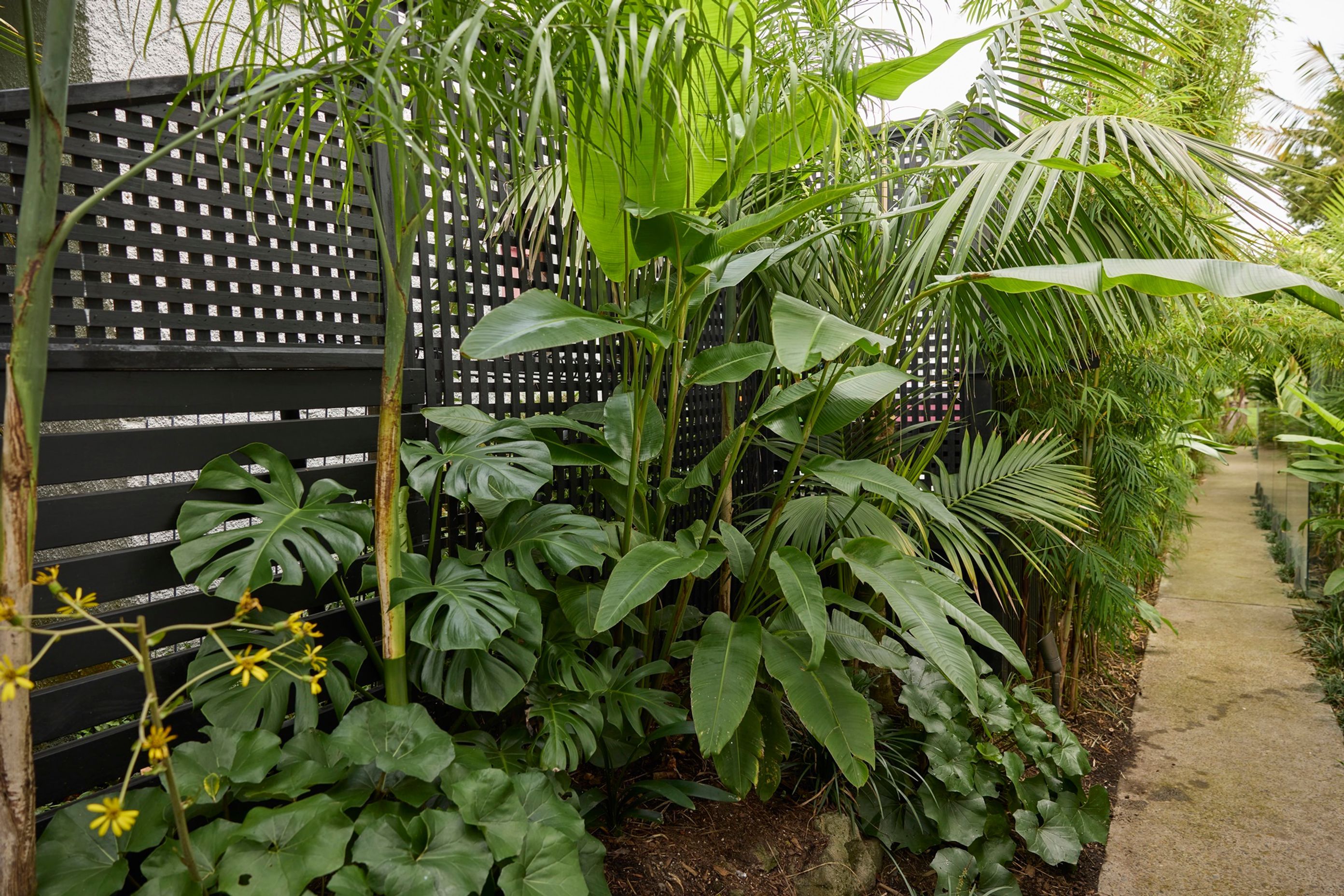 Garden of Mt Eden
