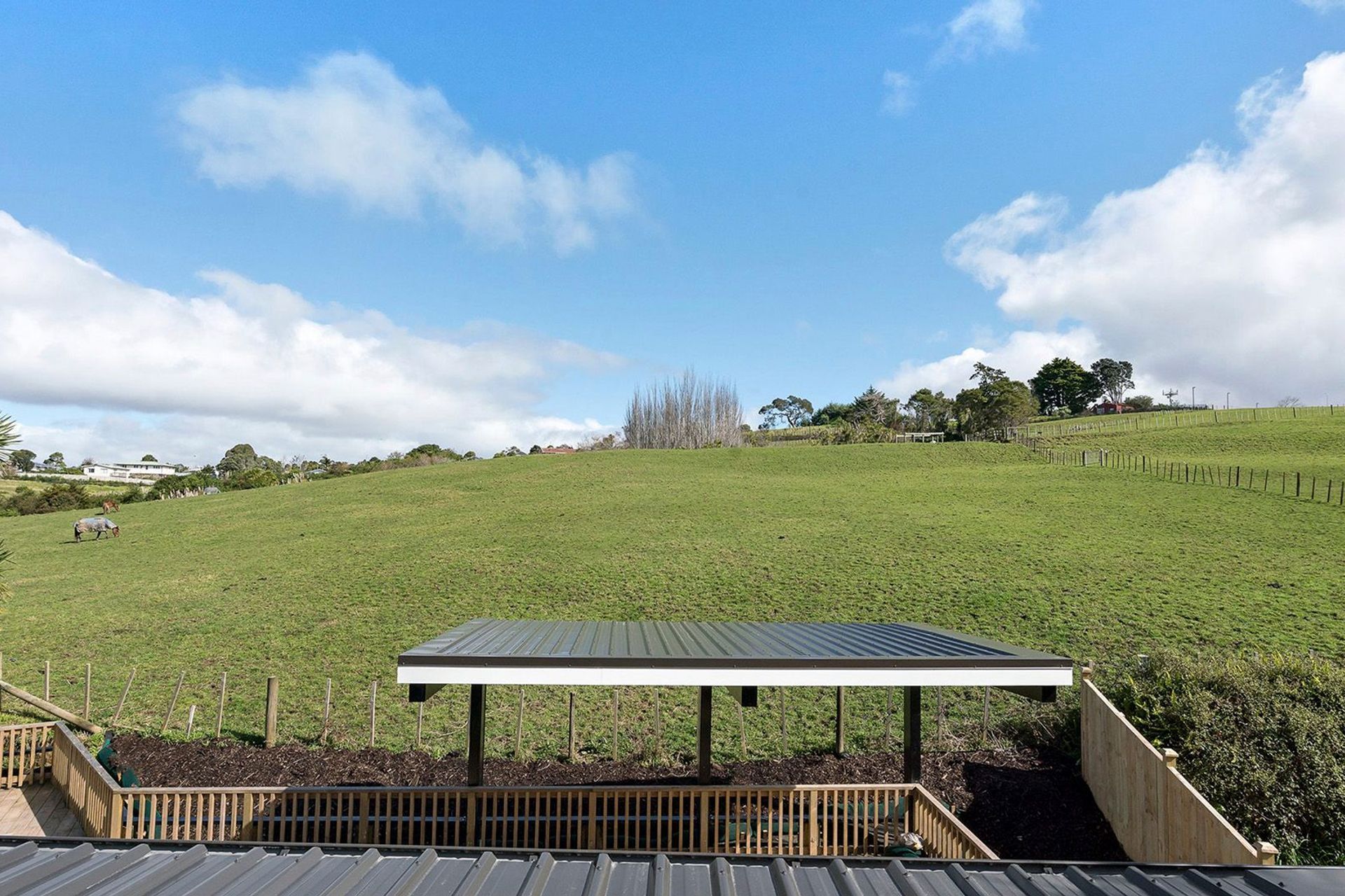 Apirana Ave, Glen Innes