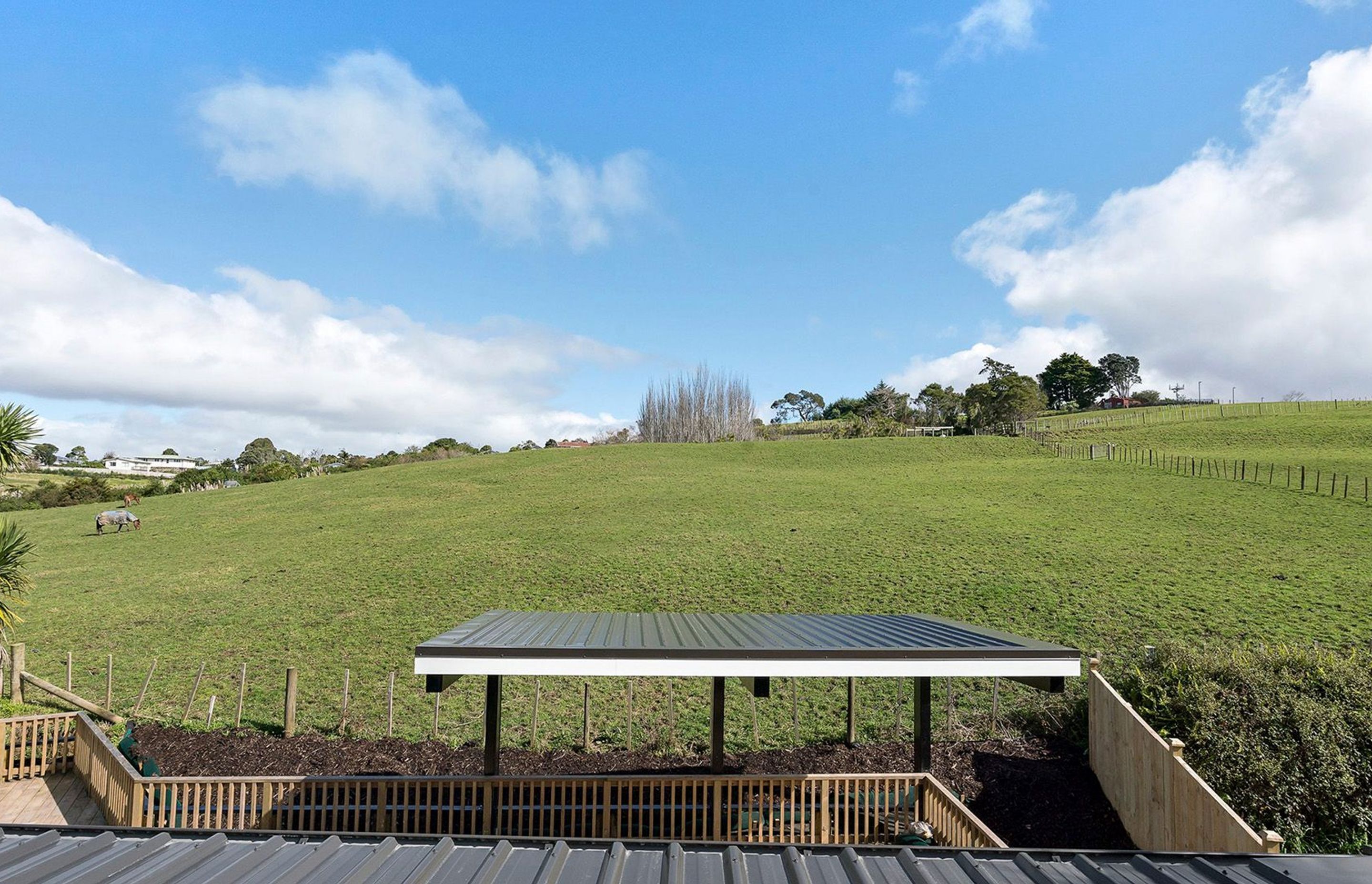 Apirana Ave, Glen Innes