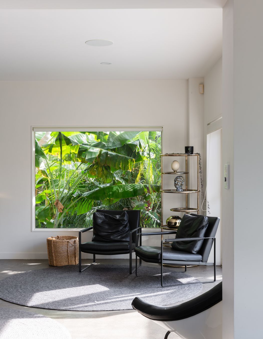 Jungle House