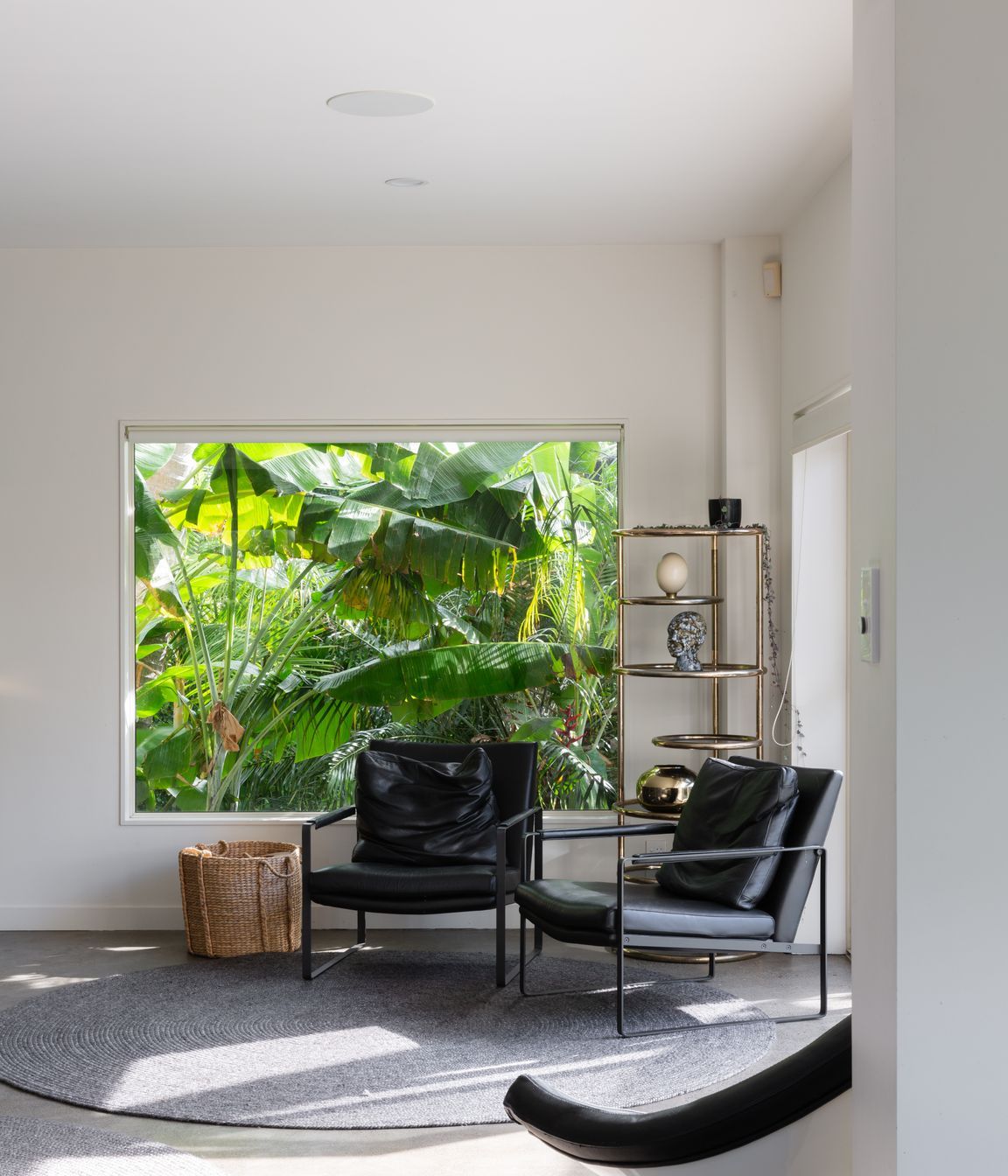 Jungle House